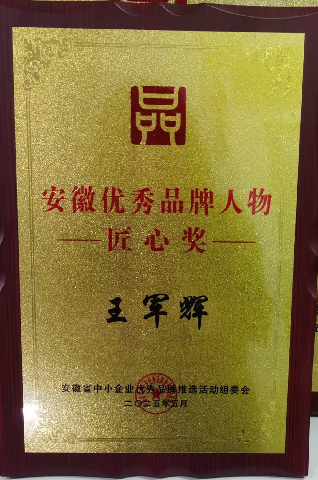 安徽優(yōu)秀品牌人物匠心獎(jiǎng)